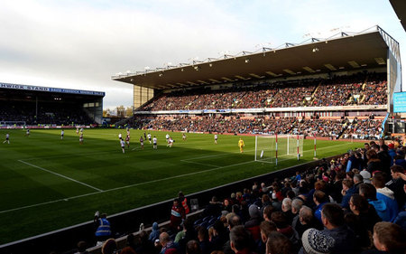 蛇代表了生 蛇代表了生