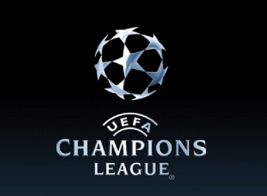 职业体育的 职业体育的